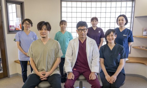 呼吸机 伟康 说明书-专业伟康呼吸机使用视频平台-美国伟康呼吸机官网